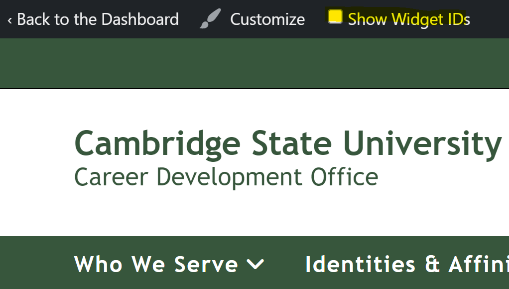 Screenshot of the top ribbon of the platform with the  'Show Widget IDs' checkbox highlighted